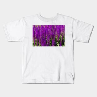 Purple loosestrife Kids T-Shirt